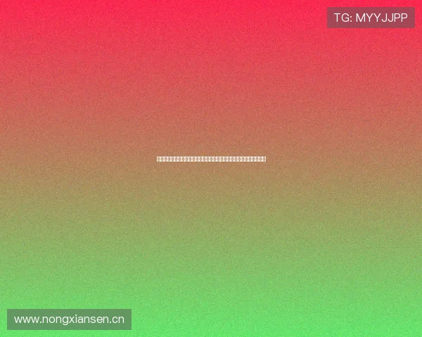 火箭今日现场直播网站全程聚焦精彩赛事动态与实时战况解析深度报道 火箭今日现场直播网站全程聚焦精彩赛事动态与实时战况解析深度报道